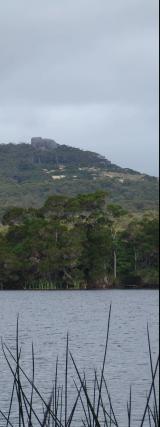 Karri forest around the lake II - 10Kb