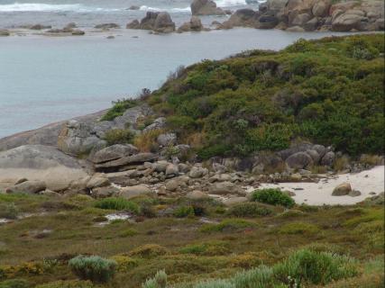 Rocky beach I  - 25Kb