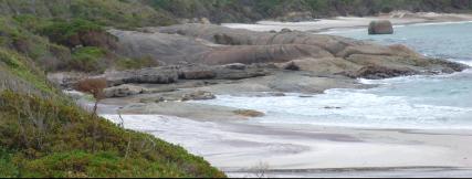 Across Waterfall Beach I  - 14Kb