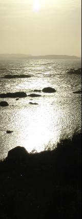 Reflection - 11Kb