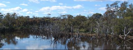 Gordon River reflections II - 18Kb