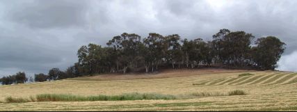 Haytime I  - 12Kb