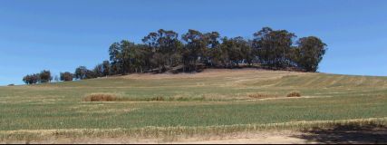 Wooded hilltop I - 12Kb