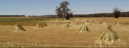 Stooks I  - 12Kb