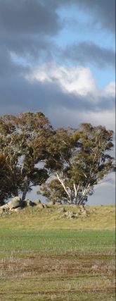 Dark clouds and afternoon light II - 12Kb