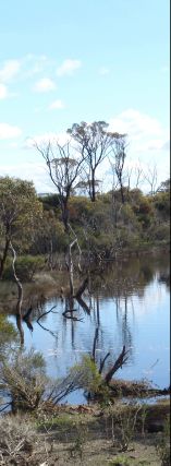 Gordon River downstream - 12Kb