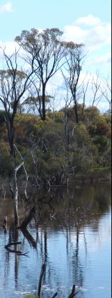 Reflections on the water - 13Kb