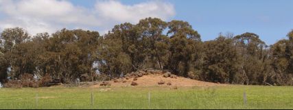 Rocky outcrop and trees - 12Kb