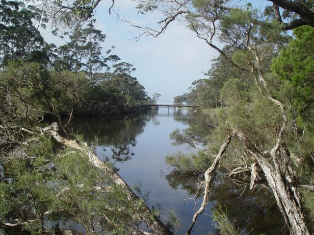 Looking towards the river mouth