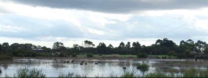 Shapland's Pond - 12Kb