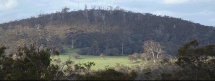Weedon Hill - 11kb